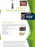 SISTEMA DE PRODUCCION PORCINA Power Point