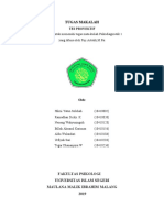 Makalah Psikodiagnostik 1 Kelompok 1