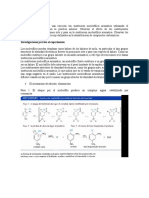 2,4-Dinitrofenilhidracina y 2,4-Dinitrofenilanilina Previo