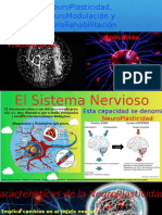 Infografía - NeuroPlasticidad - Eduardo Silva