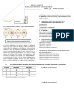 Examen 7