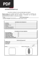 Contrato Original Citivalores S PDF