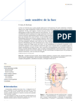 Anatomie Sensitive de La Face