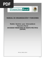 Manual de Organizacion y Funciones SOFOM Mar 2010 PDF