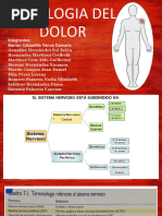 Fisiologia Del Dolor, 1TV11. PDF