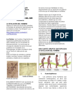 Ciencias Sociales Sexto LOS ANTEPASADOS DEL HOMBRE