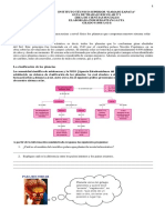 Guía de Trabajo Escolar N 1 - Sociales PDF