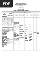 Planificación 5to. Año Luis Cárdenas