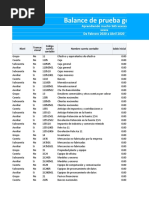 Balance de Prueba General