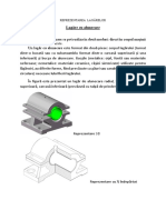 Reprezentarea Lagărelor PDF