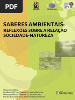 Saberes Ambientais: Reflexões Sobre A Relação Sociedade-Natureza