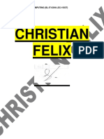 Intoduction To Computing Christian Felix PDF