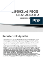 Superkelas Pisces Kelas Agnatha