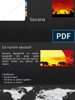 Savana