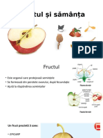 Fructul Și Sămânța