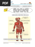 Sesion 02 Ciencia y Ambinte - Los Músculos