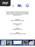 Estudio Chiaplast ITTG PDF