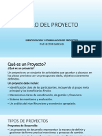 Identificación y Formulación de Proyectos