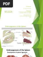 Spleen