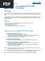 Loop-O9500-R-PTN TSPA Test Station: Description