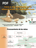 Yuca Sus Derivados en La Alimentacion de Monogastricos PDF