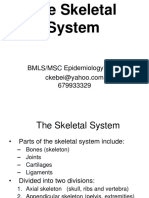 The Skeletal System