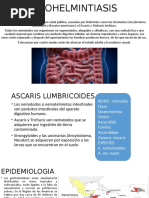 Geohelmintiasis, Teniasis y Giardosis