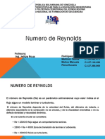 Numero de Reynolds PDF