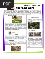 Poster Pulpa de Cafe.