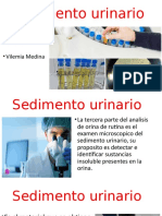 Sedimento Urinario