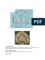 Campul Protetic Maxilar Si Mandibular