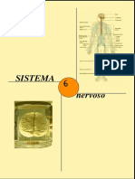 Sistema Nervoso - ANATOMIA 2 PDF