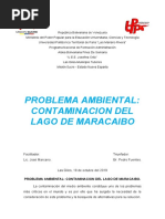 Problema Ambiental Contaminacion Del Lago de Maracaibo