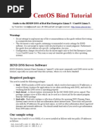 Centos Rhel 5 Bind9 DNS Server Guide