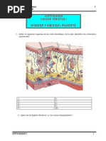 Actividades - Higiene y Aseo Del Enfermo