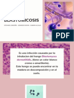 Blastomicosis PDF