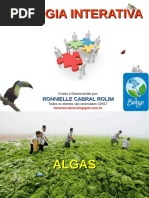 Algas PDF