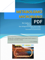 Metabolismo Microbiano