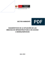 Diagnostico de La Situacion de Brechassector Ambiente