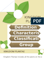 Kingdom PlanTAE