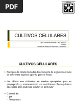 Cultivos Celulares