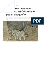 Pecarí de Collar. Animales de La Provincia de Cordoba