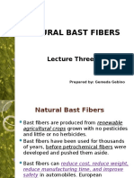 Lecture Three Natural Bast Fiber