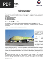 Pauta Unidad N°1 - Nivel de Decisiones PDF