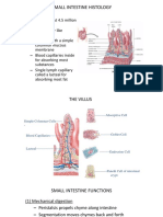 2 Digestion and Absorption PDF