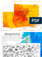 Clasificación de DUNHAM 2g