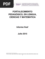 Informe FINAL Fortalecimiento Pedagógico 31 7 15