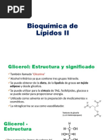 Lipidos ffrv2