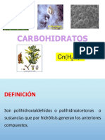 CARBOHIDRATOS