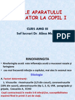 Curs Boli Respir 1 (AMG)